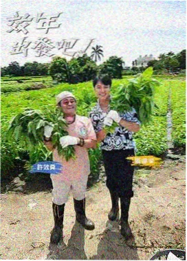 手作人的周末 生活手作综艺